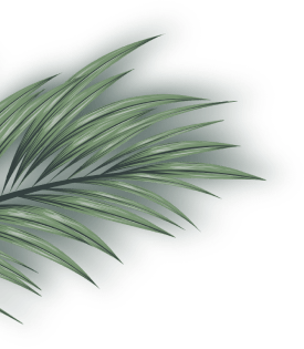 Shape Image